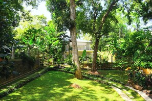 Àrea exterior de l'allotjament