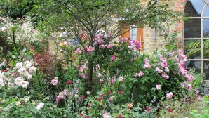 A garden with various flowering plants and a stone building in the background. - Wonderful Picturesque Countryside Cottage (Banbury)