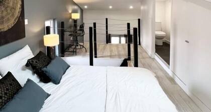 CHAL6 Duplex moderne Ă 200m du Capitole