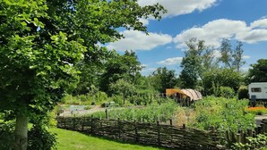 A garden with a wooden fence, a small structure, and a white trailer in the background. - Luxury Group Retreat in Nature (Scherpenzeel (FR))