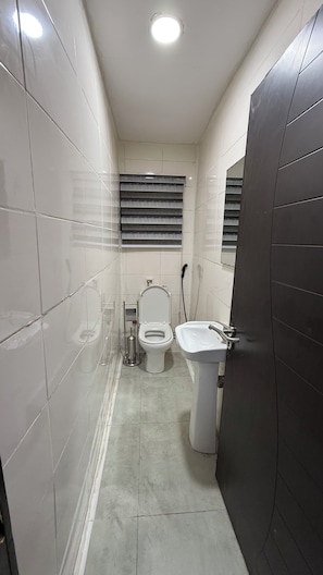 Shower, bidet, towels, toilet paper