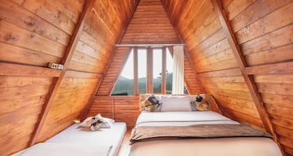 Diamond Cabin House