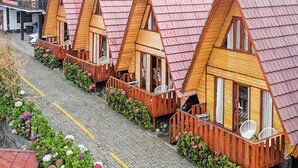 A row of wooden cabins with red roofs, arranged along a paved path with flower beds. - Diamond Cabin House (Dieng Kulon)