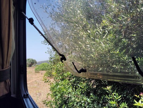 Caravane Uljanas pour 2 avec vue sur les chevaux sauvés