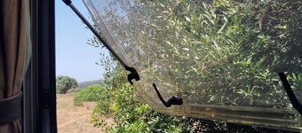 Uljanas caravana for 2 with view of the rescued horses