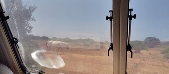 Uljanas caravana for 2 with view of the rescued horses