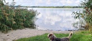 Chaises longues, serviettes de plage