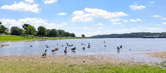 Lakeside Retreat & Game Haven!