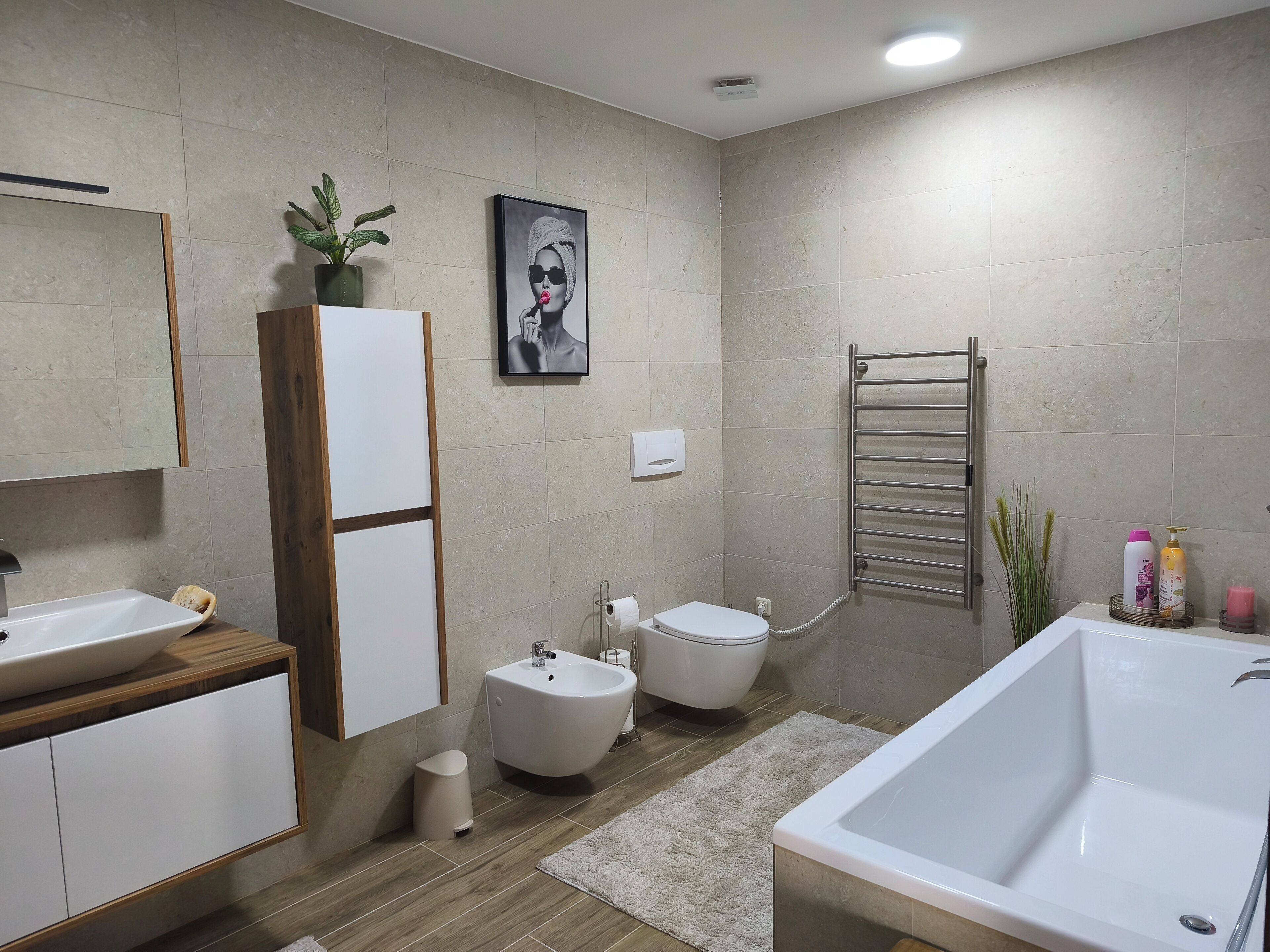 Shower, hair dryer, bidet, towels