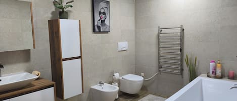 Shower, hair dryer, bidet, towels