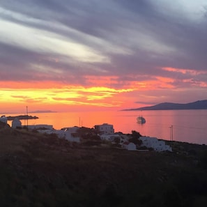 Sekalaista
