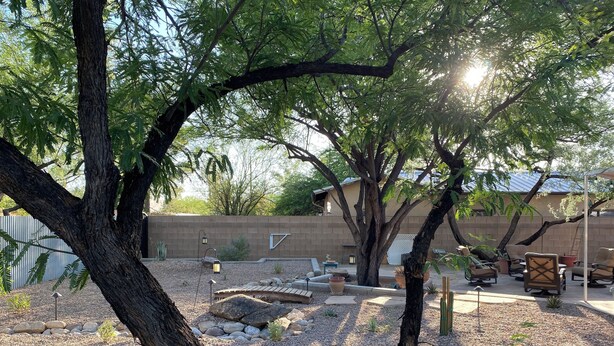 A patio area with outdoor furniture, a fire pit, and a view of a house in the background. - Family and Pet Friendly Desert Haven in Central Tucson (Tucson)