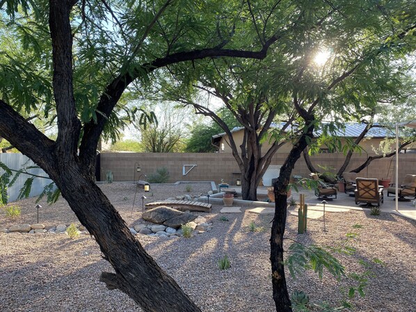 Property grounds - Family & Pet Friendly Desert Haven in Central Tucson (Tucson)