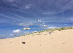 Classic Apartment, 1 Bedroom | View from property