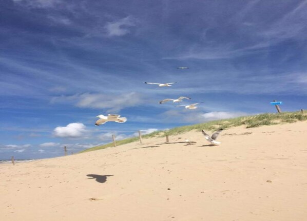 View from property - Gorgeous Seaside Apartment (Julianadorp)