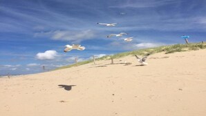 Ein sandiger Strand mit Dünen und blauem Himmel.