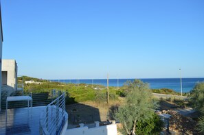 Vista desde la propiedad