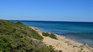 A coastal landscape with a sandy beach and dense greenery. - Ginepro - Shelter by the sea in Apulia | A few steps from the beach (Puglia)