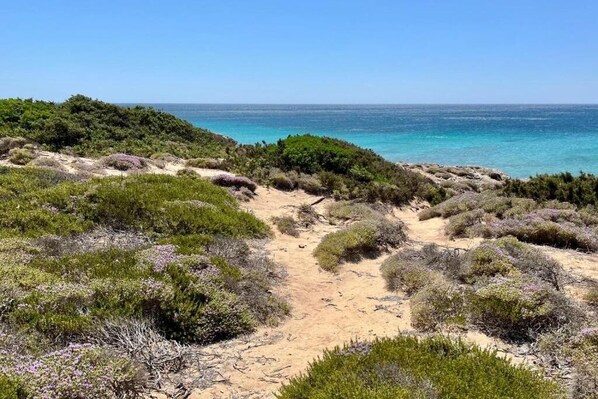 Beach - Seafront Juniper apartment with large veranda, 20m from the crystal clear sea. (Puglia)