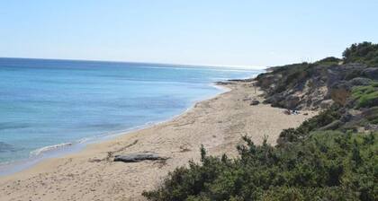 Seafront Juniper apartment with large veranda, 20m from the crystal clear sea.