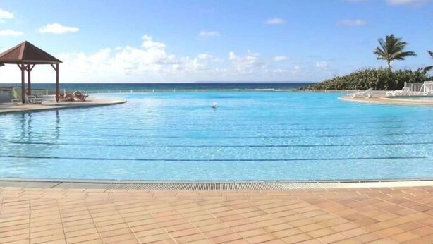 En klarblå pool med ett lusthus och solstolar, omgiven av en kakelbeklädd terrass och palmer.