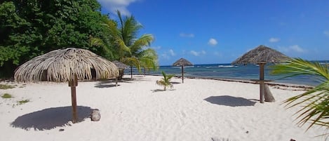 Una playa cerca