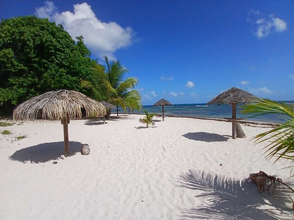 Plage à proximité