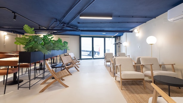 Una sala de conferencias moderna con una larga mesa, sillas y una planta grande.