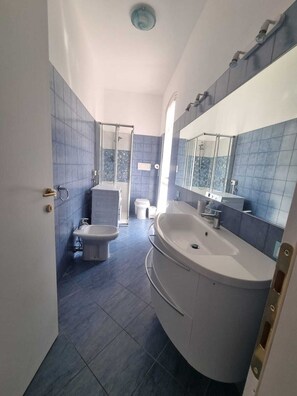 Regadera, secadora de cabello, bidet, toallas 