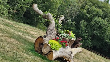 Áreas de la propiedad