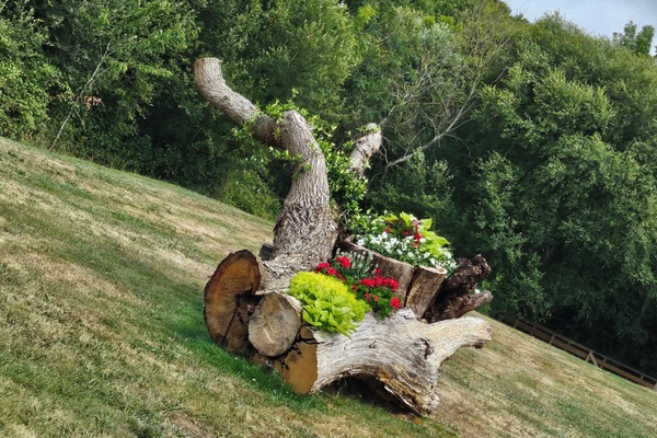 Overnatningsstedets område