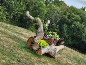 Áreas de la propiedad