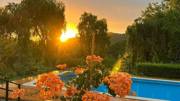 A swimming pool surrounded by lush greenery and flowering plants, with a sunset in the background.