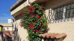 A building with a stucco exterior, a metal gate, and a small window with a wooden shutter. - Rent T2 a St Aygulf (St Aygulf)