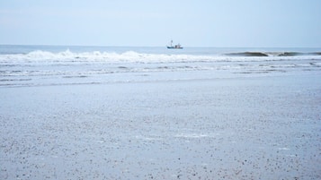 在海灘附近