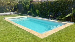 Une piscine rectangulaire bordée de carreaux, entourée d’une pelouse bien entretenue et de diverses plantes.
