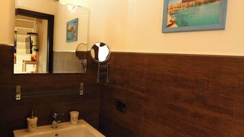 Shower, hair dryer, bidet, towels