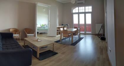 Huge sunny apartament in the heart of Budapest with view and and green park.