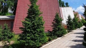 Ảnh chưa phân loại, 4 trong số 17 ảnh, nút