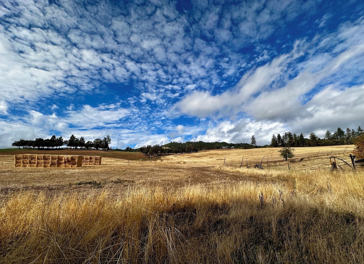 Image de profil de lâhĂŽte