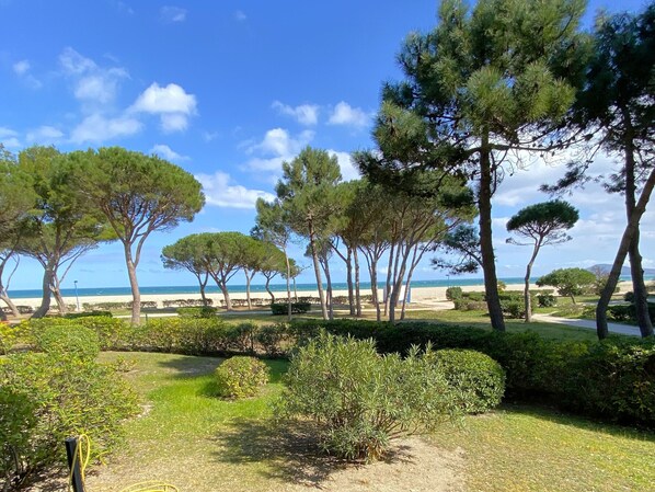 A coastal landscape with trees, a beach, and a clear sky.