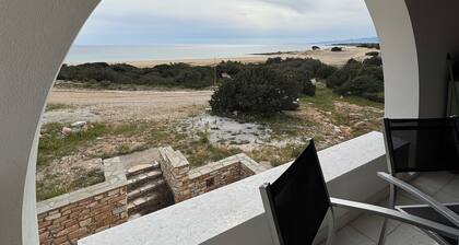 Owl's Nest Residence