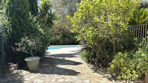 A stone pathway leading to a swimming pool surrounded by lush greenery and a tall tree.