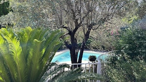 A tree-lined view with a pool and a white fence.