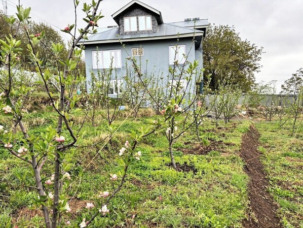 Front of property - Tavisha River View Orchard Pahalgam (Pahalgam)