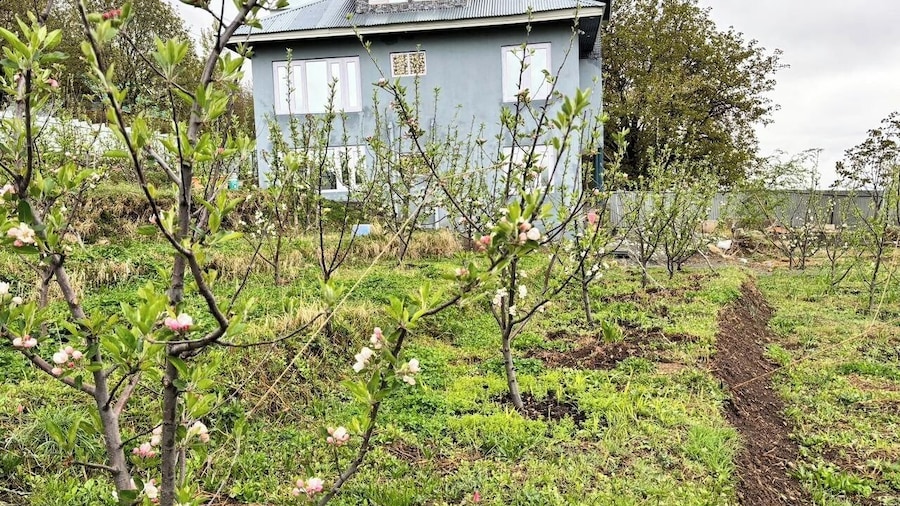 Tavisha River View Orchard Pahalgam