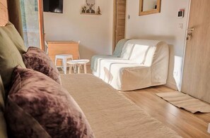 TV - Superb Cosy Studio, Terrace, parking, ski locker close to slopes. (Vars)