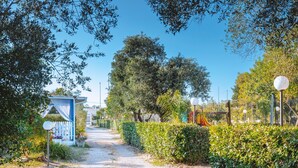 Camí que condueix a un edifici amb façana blava, envoltat de vegetació i un cel serè.