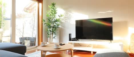 Smart TV, fireplace