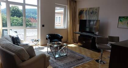 Exclusive penthouse apartment with 100 m² in the center